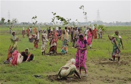 India planting trees record 3