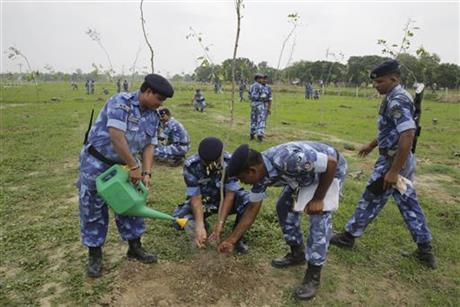 India planting trees record 4