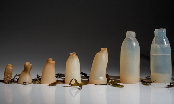 Algae water bottles may be part of the solution to plastic pollution