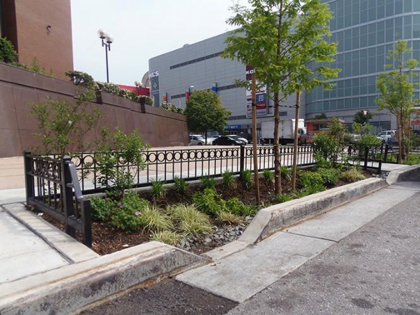 Rain gardens in NY City to eliminate the overflows during intense precipitation events