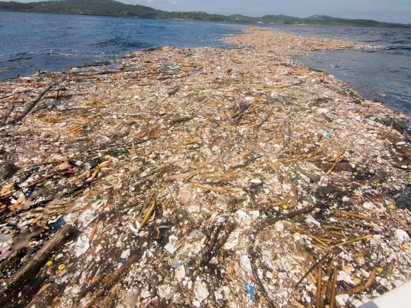 Plastic pollution: This has to stop