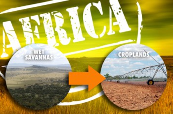 Researchers analyzed the “Guinea Savanna” in Africa for potential use as croplands. 