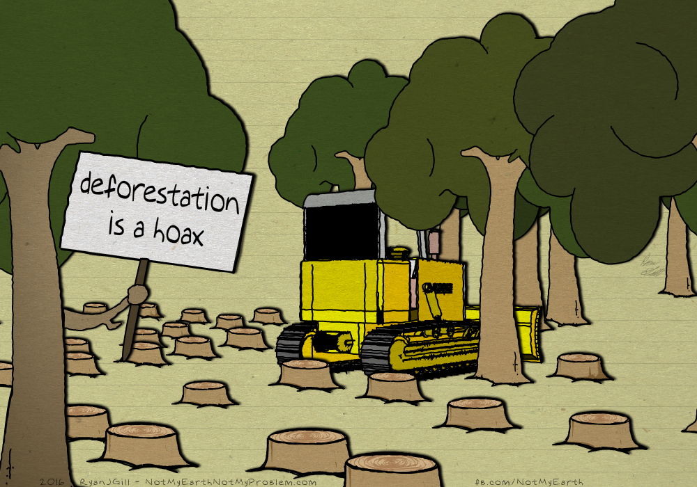 Sketches deforestation 1