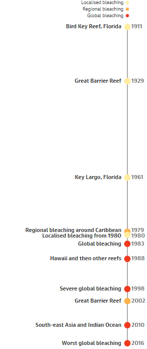 australia coral reef 2