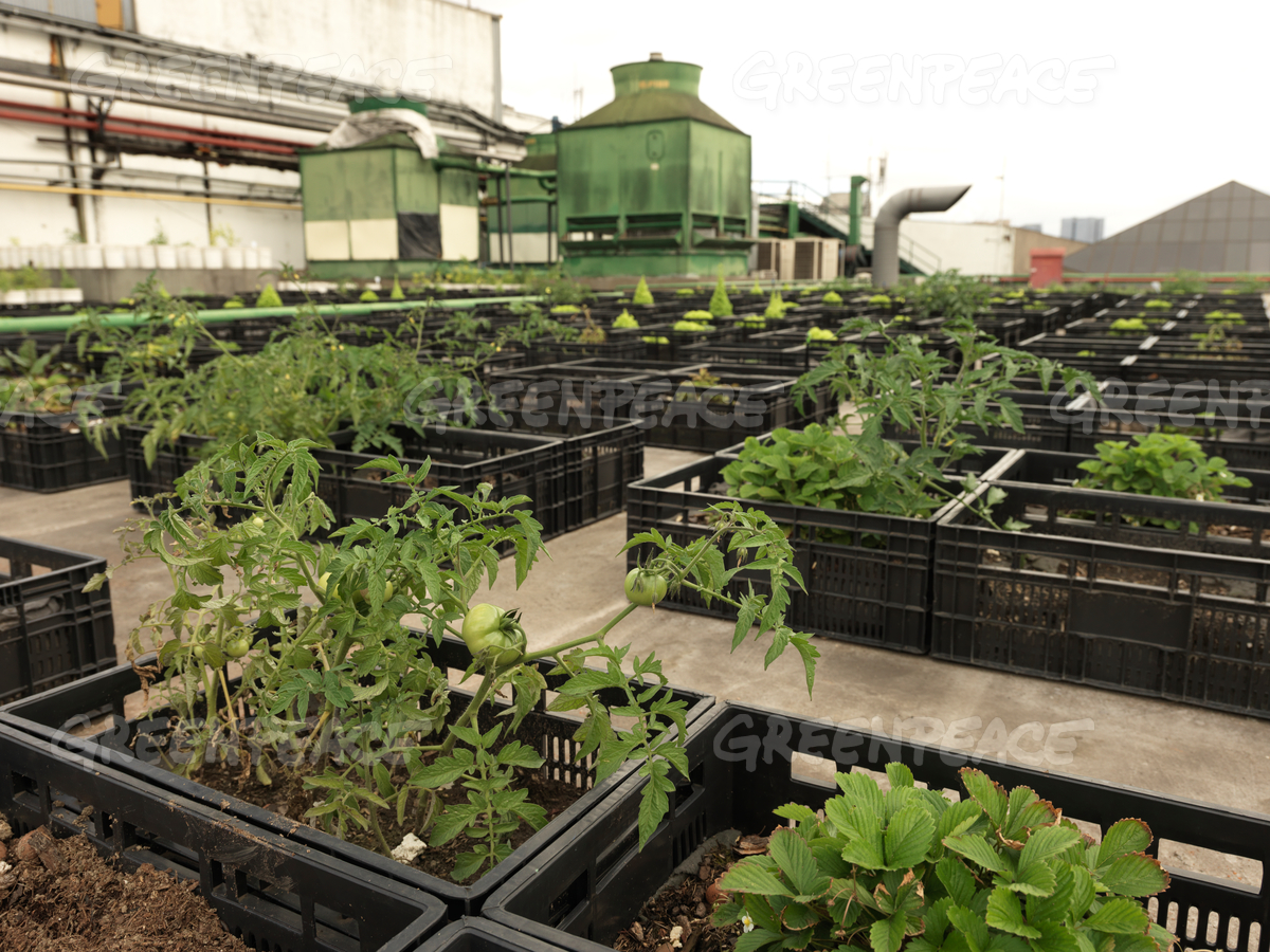 shopping mall Brazil 1