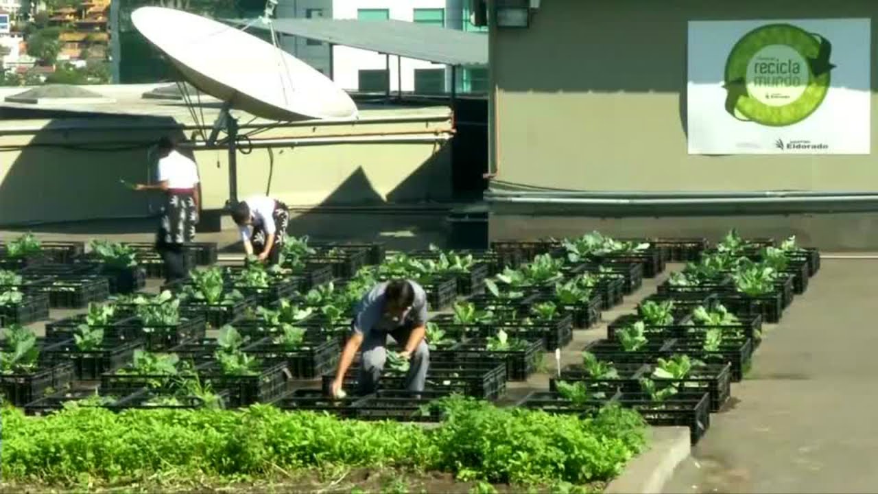 shopping mall Brazil 2