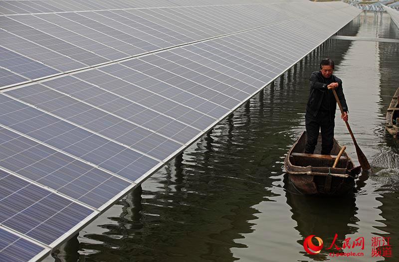 photovoltaic power station on fish farm 4