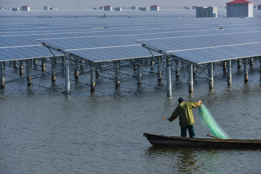 photovoltaic power station on fish farm 6