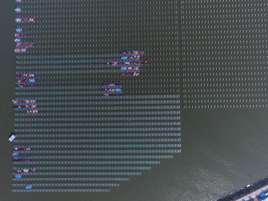 photovoltaic power station on fish farm 7