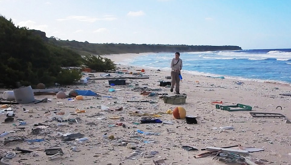 Henderson island waste3