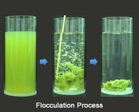 polyglu water purification 2