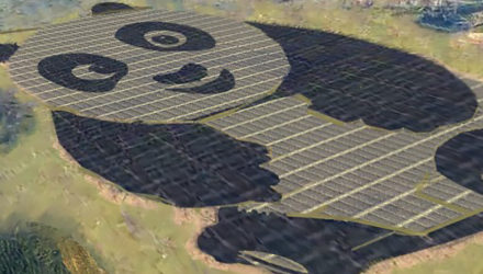 panda solar farm China 1