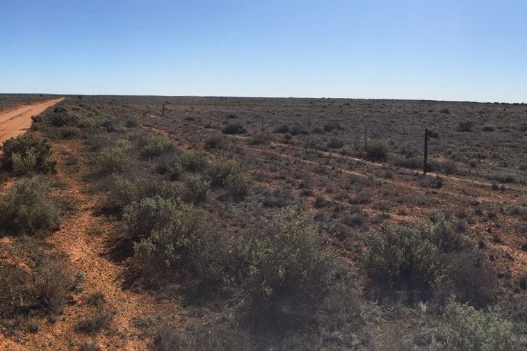 australia largest solar thermal power plant 3