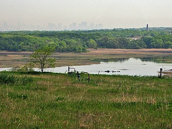 freshkills park 1