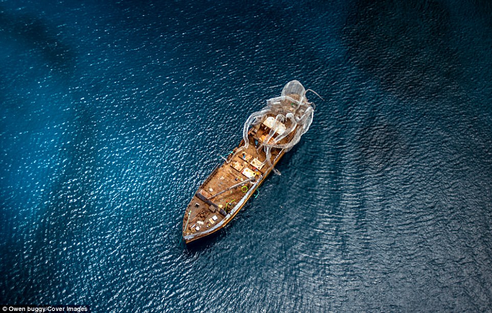 steel kraken artificial reef 4