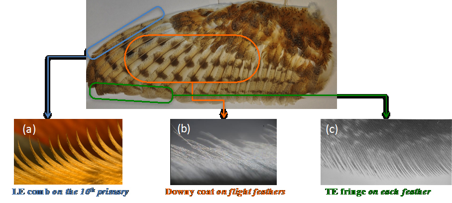 ultra quiet blades owls 3