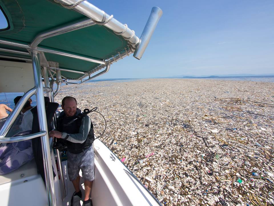 plastic pollution