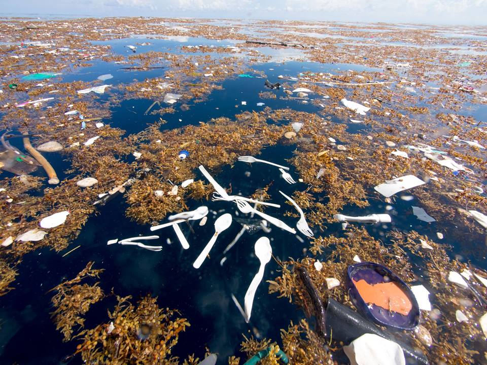 plastic pollution Honduras2
