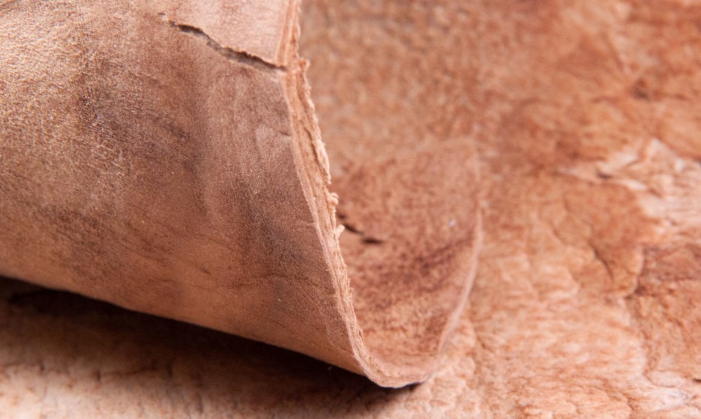 leather from mushrooms 2