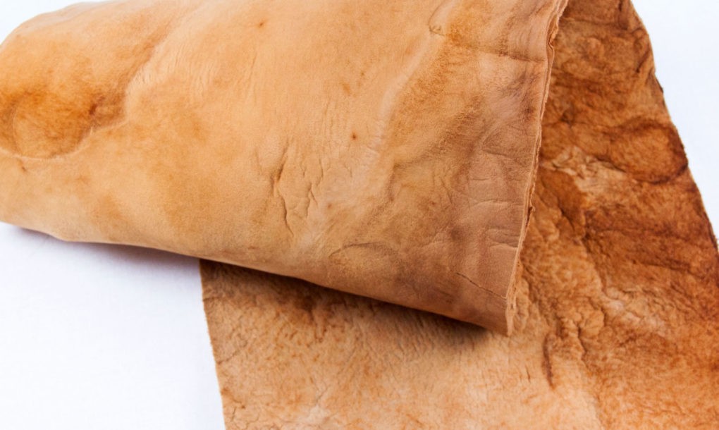 leather from mushrooms 3