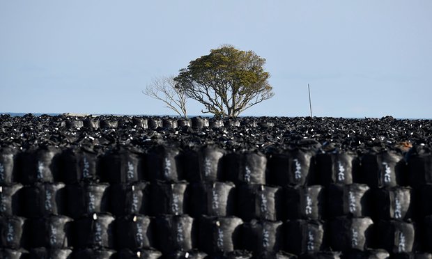 fukushima soil