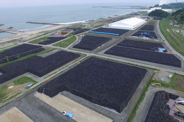 fukushima soil2