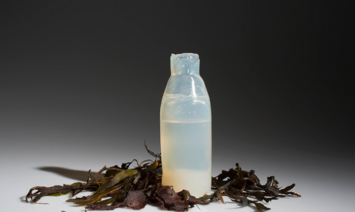 algae bottle2