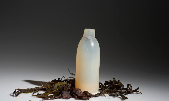 algae bottle3