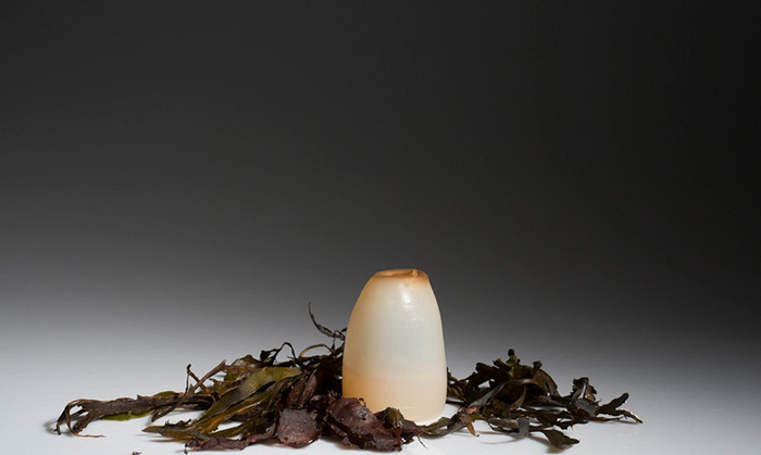 algae bottle5