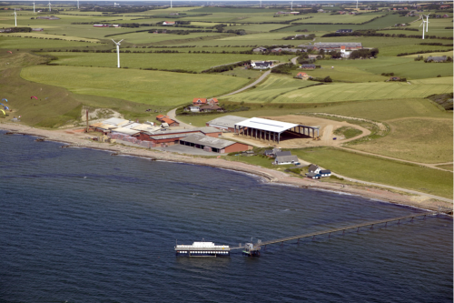 1 10 scale wave star