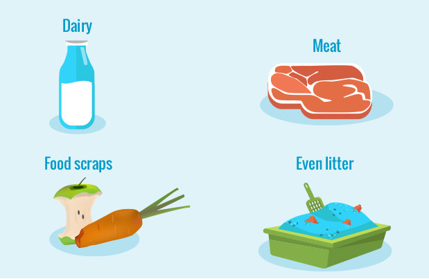 homebiogas 1